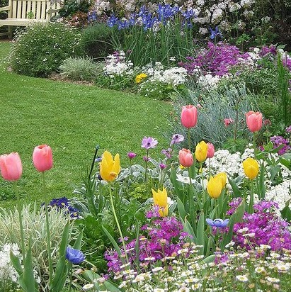Susan Langford Photo 28