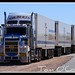 Alice Gilbert Photo 8