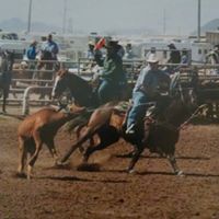 Travis Pierce Photo 8