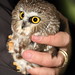 Russell Gifford Photo 7