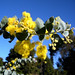 Martha Estes Photo 16