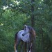 Victor Gray Photo 20