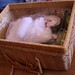 Elizabeth Goody Photo 4