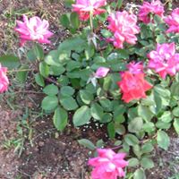 James Weems Photo 22