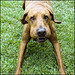 Heather Huff Photo 10