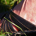 Caroline Clark Photo 36