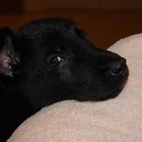 Barbara Hively Photo 4