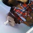 Malika Johnson Photo 30