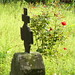 Donna Puckett Photo 18