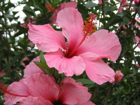 Julie Stern Photo 27
