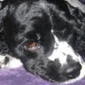 Patty Rogers Photo 16