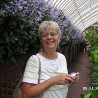 Janet Shurtleff Photo 3
