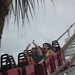 Lisa Roy Photo 19