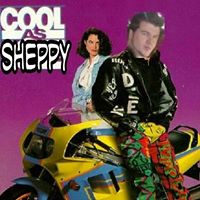 Michael Shephard Photo 13