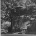Russell Dillard Photo 11