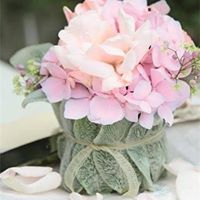 Jill Shepherd Photo 24