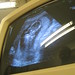 Michael Broyles Photo 10
