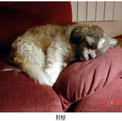 Nancy Walsh Photo 9