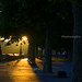 Dawn Banks Photo 16