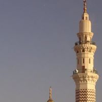 Muhammad Mehboob Photo 19