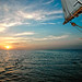 Dawn Sink Photo 5
