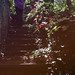 Colleen Long Photo 32
