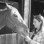 Mary Dailey Photo 47