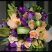 Christopher Grube Photo 15