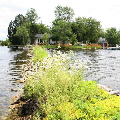 Jean Conley Photo 8