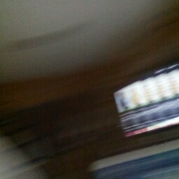 Timothy Garner Photo 8
