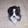 Larry Meadows Photo 38