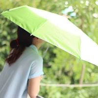 Thuy Ninh Photo 10