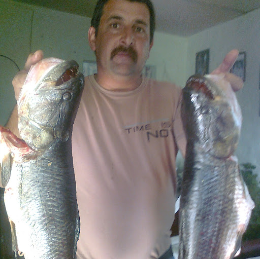 Julio Torres Photo 44