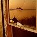 Archie Smith Photo 33