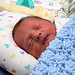Lisa Wilburn Photo 14