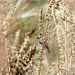 Gary Lesser Photo 10