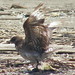 Robin Martyn Photo 11