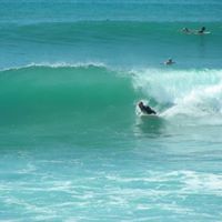 David Shutt Photo 18