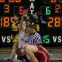 Connor Johnston Photo 22