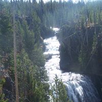 Kim Stepp Photo 5