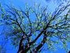Scott Chapman Photo 35