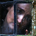 Theresa Roche Photo 14