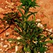 Monte Johnston Photo 14