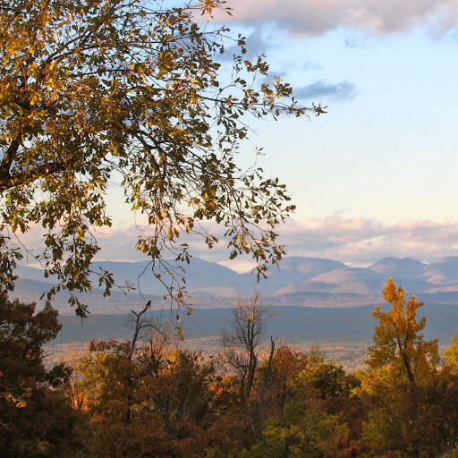 Susan Puckett Photo 11