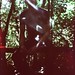 Lawrence Wood Photo 15