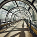 Don Lange Photo 10