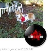 Terry Watts Photo 24