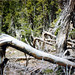 Elizabeth Lake Photo 31