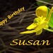 Susan Montana Photo 17