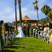 Steve Joyce Photo 6